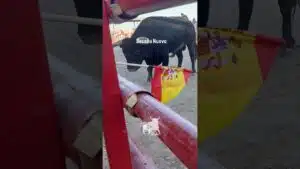 Encierro en Seseña Nuevo 2026 - Con una bandera reconduce a este toro