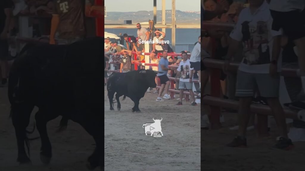Encierro en Seseña Nuevo 2026 - ¿Quién pone freno a este toro?