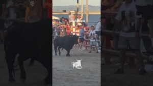Encierro en Seseña Nuevo 2026 - ¿Quién pone freno a este toro?