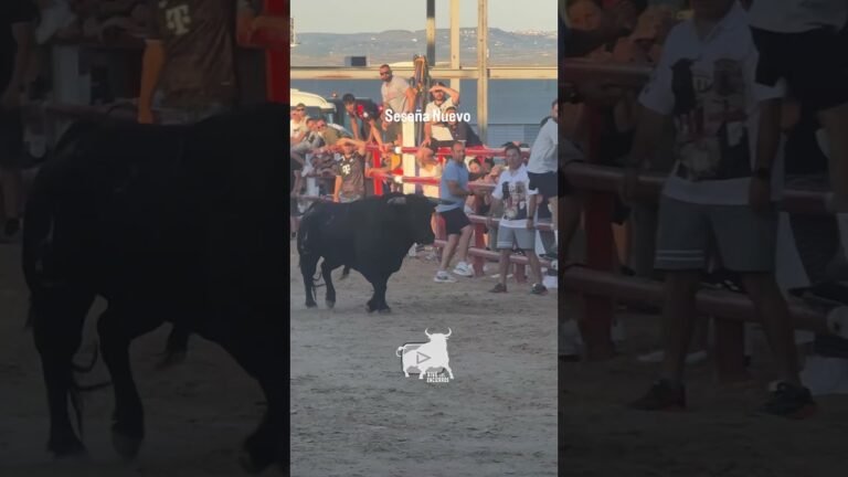 Encierro en Seseña Nuevo 2026 - ¿Quién pone freno a este toro?
