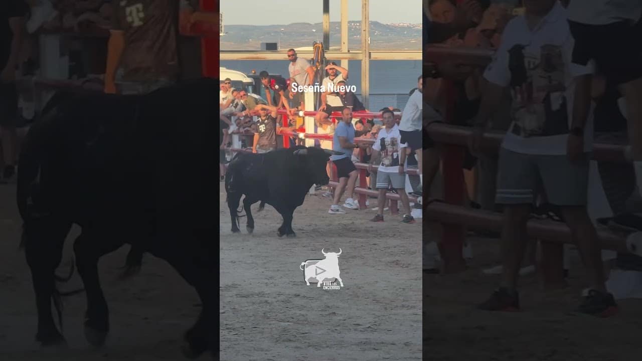 Encierro en Seseña Nuevo 2026 - ¿Quién pone freno a este toro?