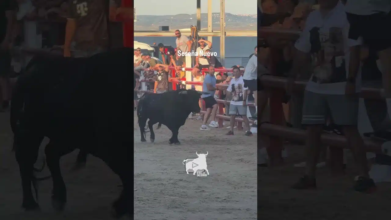 Encierro en Seseña Nuevo 2026 - ¿Quién pone freno a este toro?