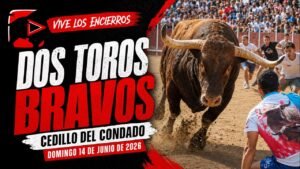 Encierro en Cedillo del Condado 2026 - DOS TOROS BRAVOS CEDILLO DEL CONDADO