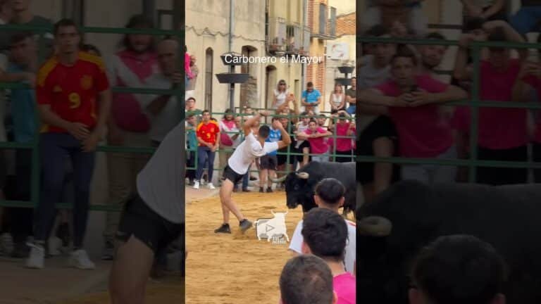 Toro a cajon en Carbonero El Mayor 2026 - CORTES a MEDIANOCHE