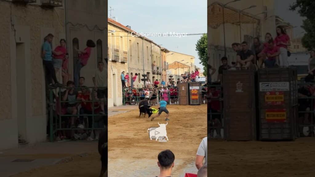 Toro a cajon en Carbonero El Mayor 2026 - Buen Chaquetazo de Albertillo en Carbonero el Mayor
