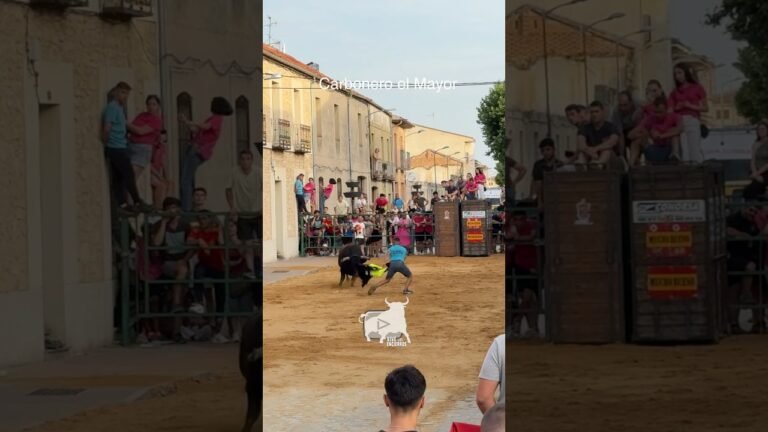 Toro a cajon en Carbonero El Mayor 2026 - Buen Chaquetazo de Albertillo en Carbonero el Mayor