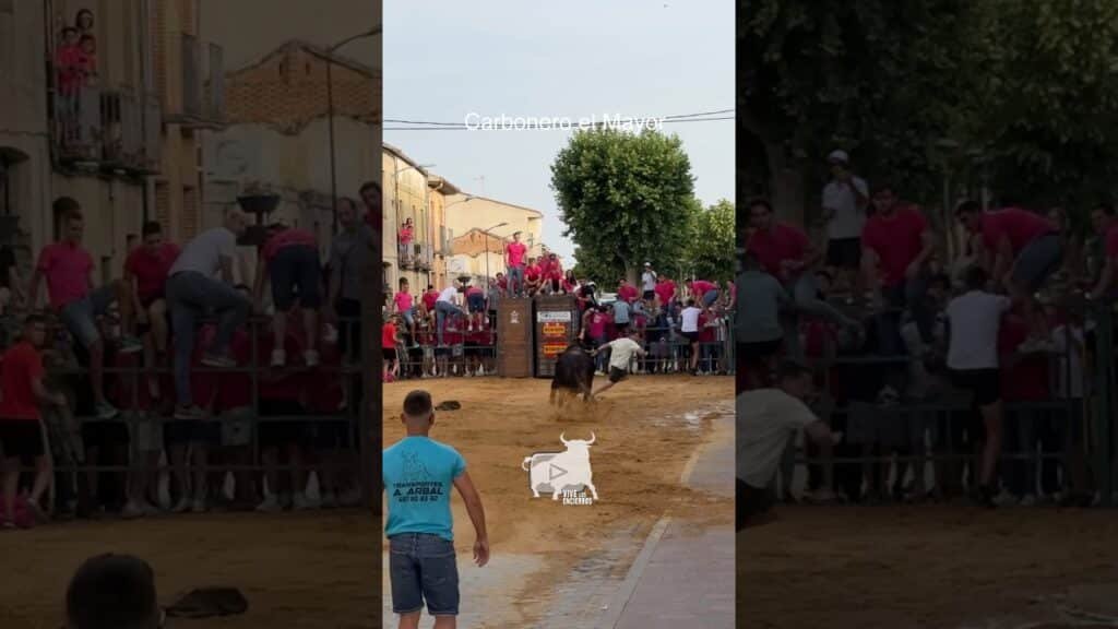 Toro a cajon en Carbonero El Mayor 2026 - MUCHO PELIGRO VUELA a lo SUPERMAN