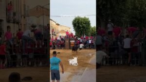 Toro a cajon en Carbonero El Mayor 2026 - MUCHO PELIGRO VUELA a lo SUPERMAN