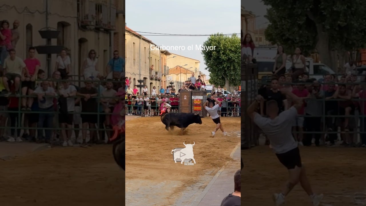 Toro a cajon en Carbonero El Mayor 2026 - Últimos CORTES a MEDIANOCHE