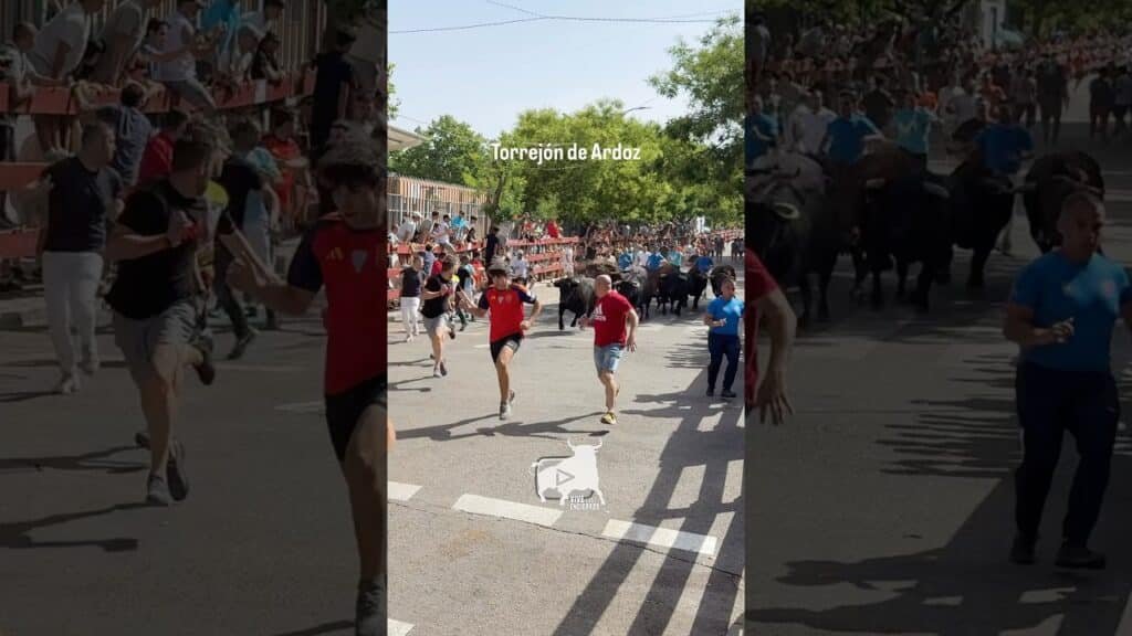 Encierro en Torrejón de Ardoz 2026 - ENCIERRO con SEIS TOROS TORREJÓN de ARDOZ