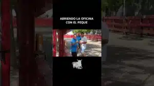 Encierro en Torrejón de Ardoz 2026 - ABRIENDO la OFICINA con El PEQUE