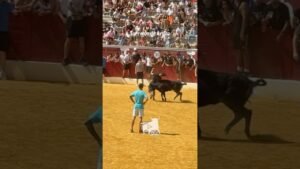 Capea en Torrejón de Ardoz 2026 - La VACA lo APARTA del MEDIO
