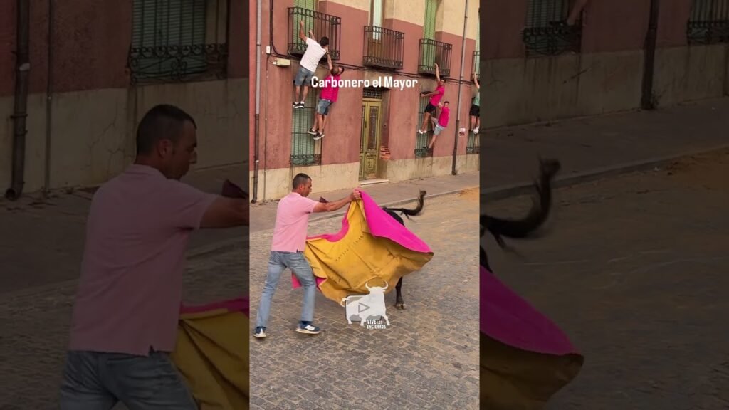 Toro a cajon en Carbonero El Mayor 2026 - El TORO se ENFADA con los del BALCÓN