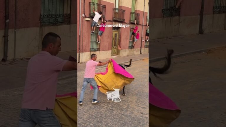 Toro a cajon en Carbonero El Mayor 2026 - El TORO se ENFADA con los del BALCÓN