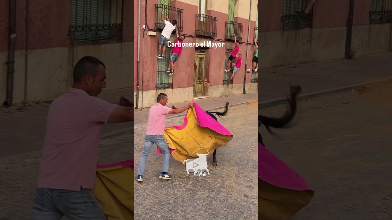 Toro a cajon en Carbonero El Mayor 2026 - El TORO se ENFADA con los del BALCÓN