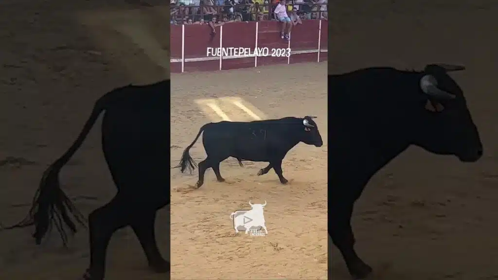 ¡EL TORO LE PATEA EL CULO!