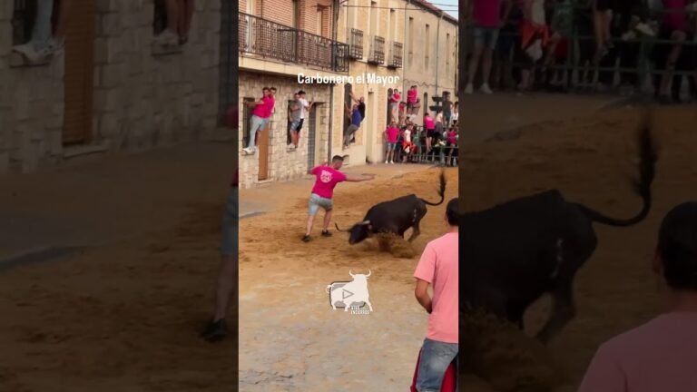 Toro a cajon en Carbonero El Mayor 2026 - SALIDA DEL CAJÓN DE LA VACA