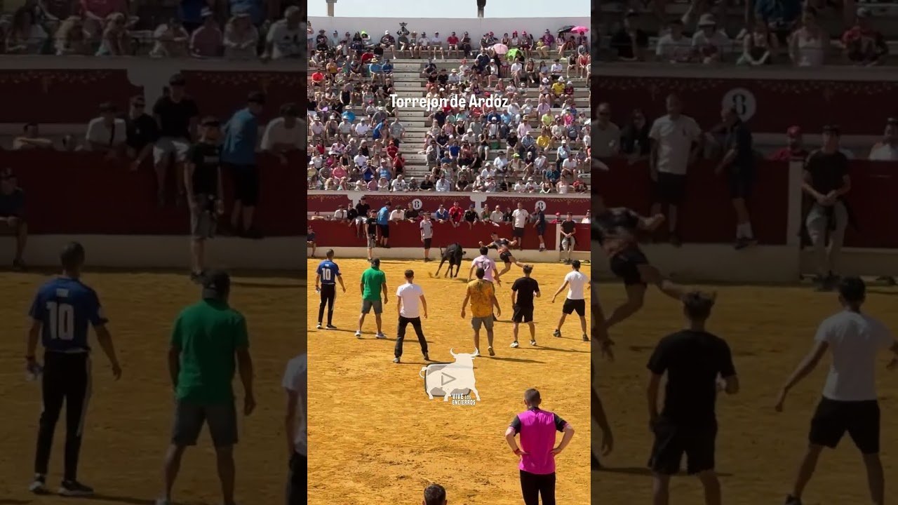 Capea en Torrejón de Ardoz 2026 - CORTES a la VACA en la CAPEA