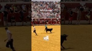 Capea en Torrejón de Ardoz 2026 - Salida Segunda Vaquilla Torrejón de Ardoz