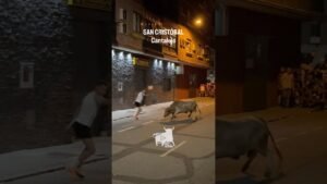 Encierro en Cantalejo 2026 - Salida primer toro jabonero Cantalejo