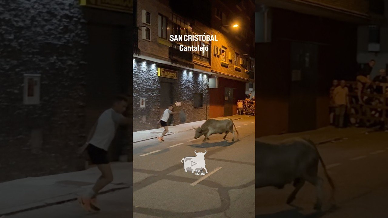 Encierro en Cantalejo 2026 - Salida primer toro jabonero Cantalejo