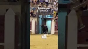 Encierro en Cantalejo 2026 - SALIDA DEL SEGUNDO TORO CANTALEJO
