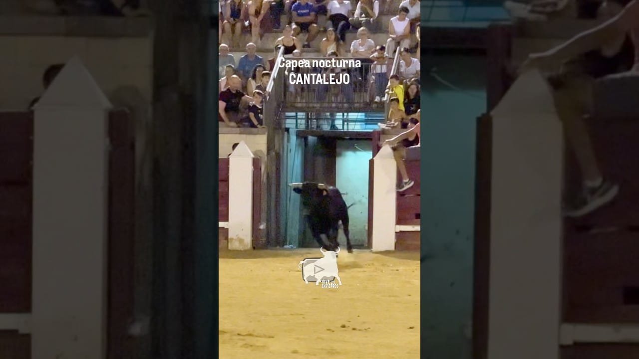 Encierro en Cantalejo 2026 - SALIDA DEL SEGUNDO TORO CANTALEJO