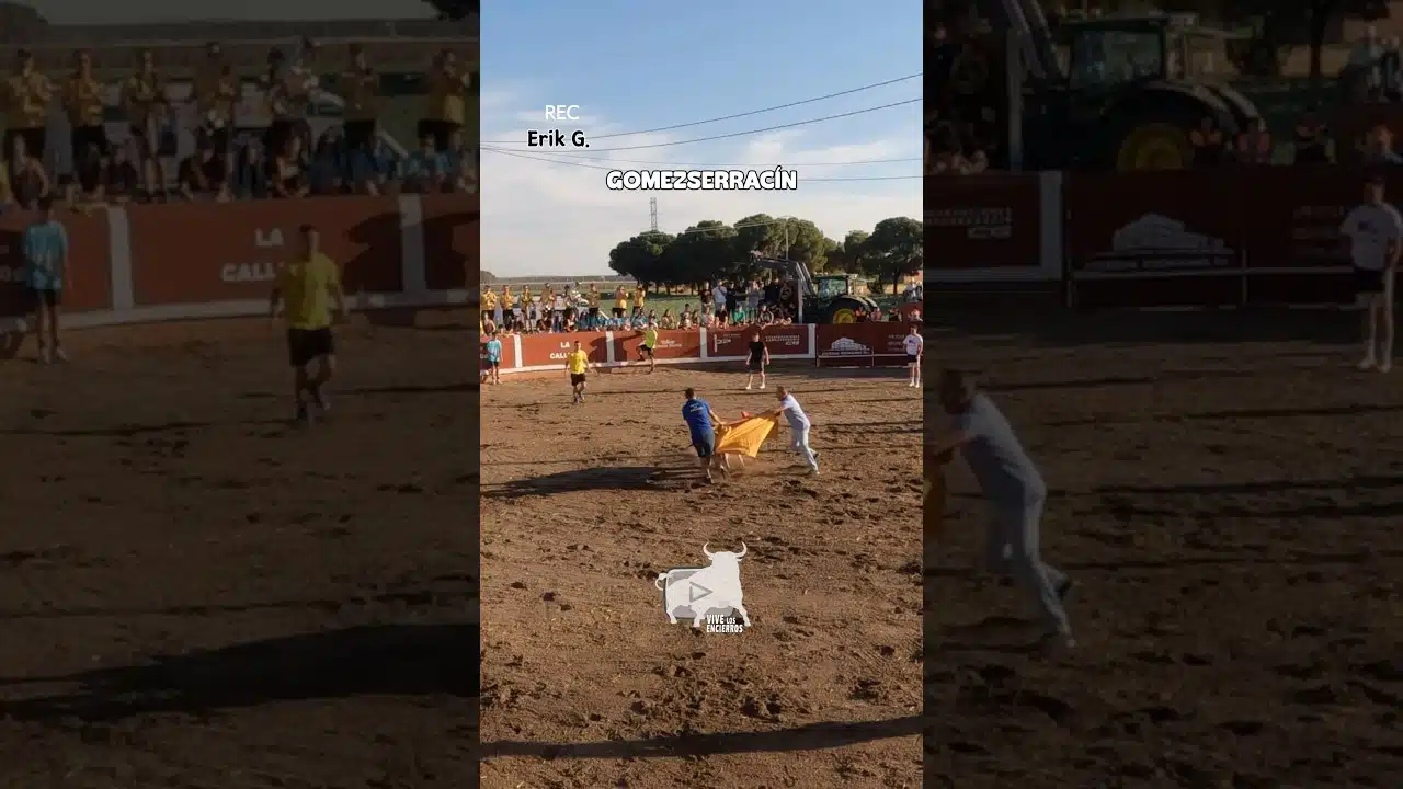 Capea en Gomezserracín 2026 - ¡QUE OS VA PILLAR LA VACA!
