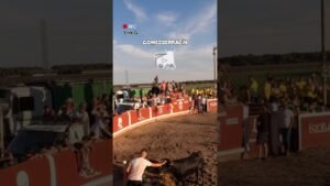 Capea en Gomezserracín 2026 - El hombre que susurraba a las vacas