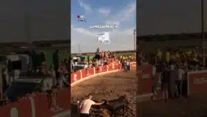 Capea en Gomezserracín 2026 - El hombre que susurraba a las vacas