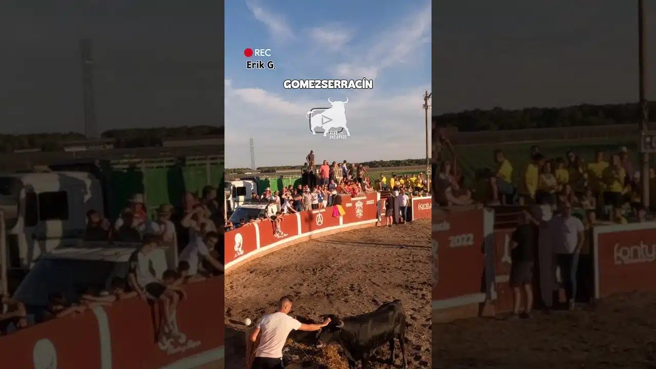 Capea en Gomezserracín 2026 - El hombre que susurraba a las vacas