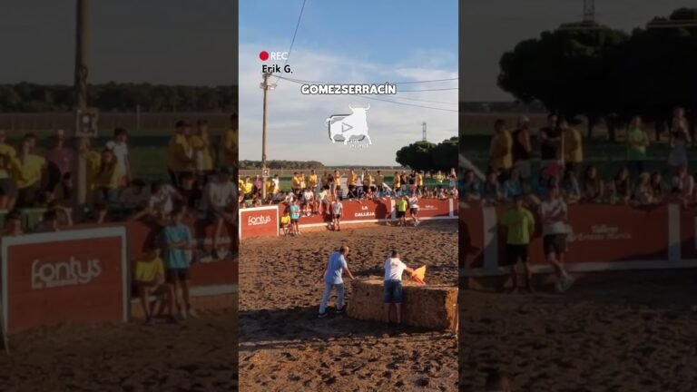 Capea en Gomezserracín 2026 - ¡Movamos la alpaca que nos pilla la vaca!