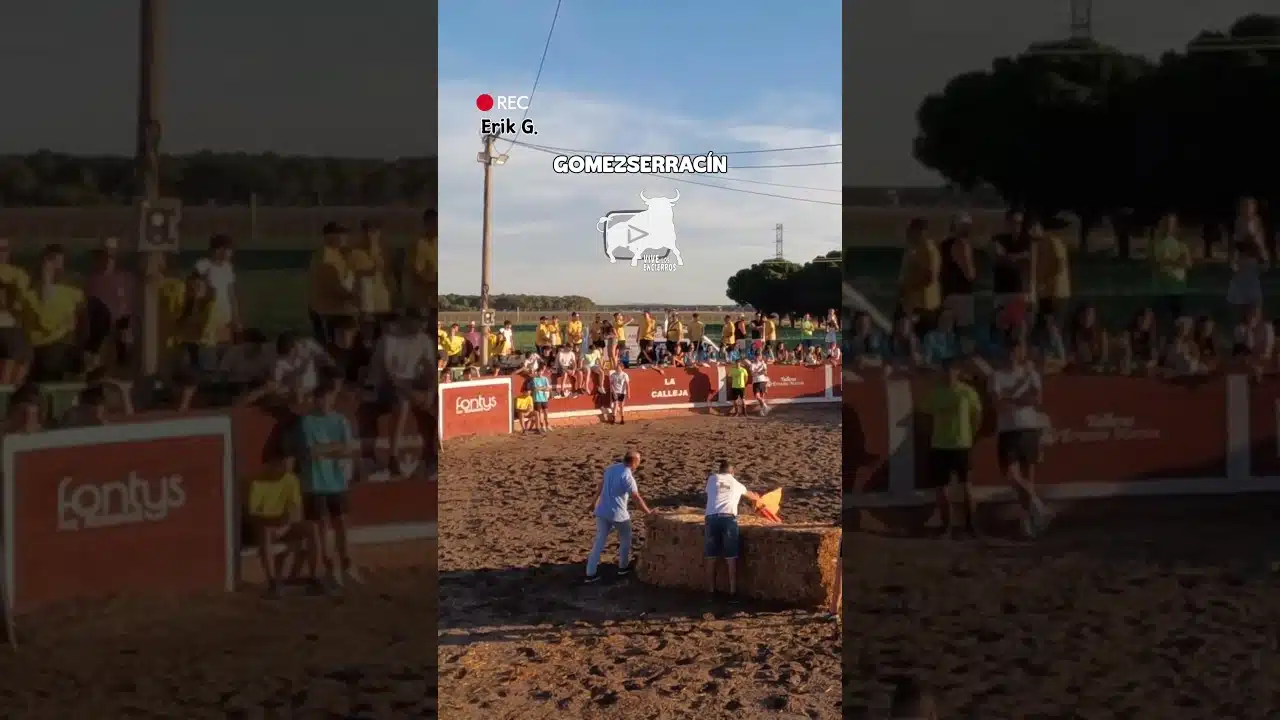 Capea en Gomezserracín 2026 - ¡Movamos la alpaca que nos pilla la vaca!