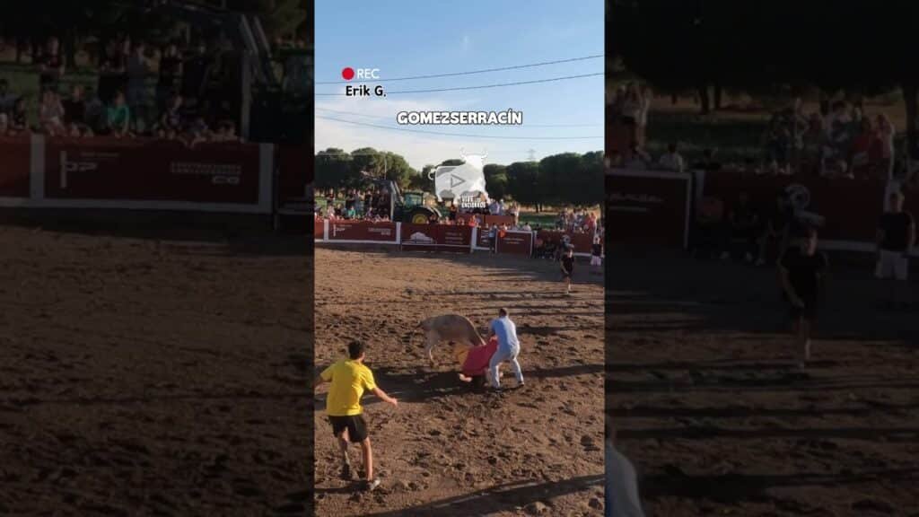 Capea en Gomezserracín 2026 - Ya os dije que os pillaba la vaca