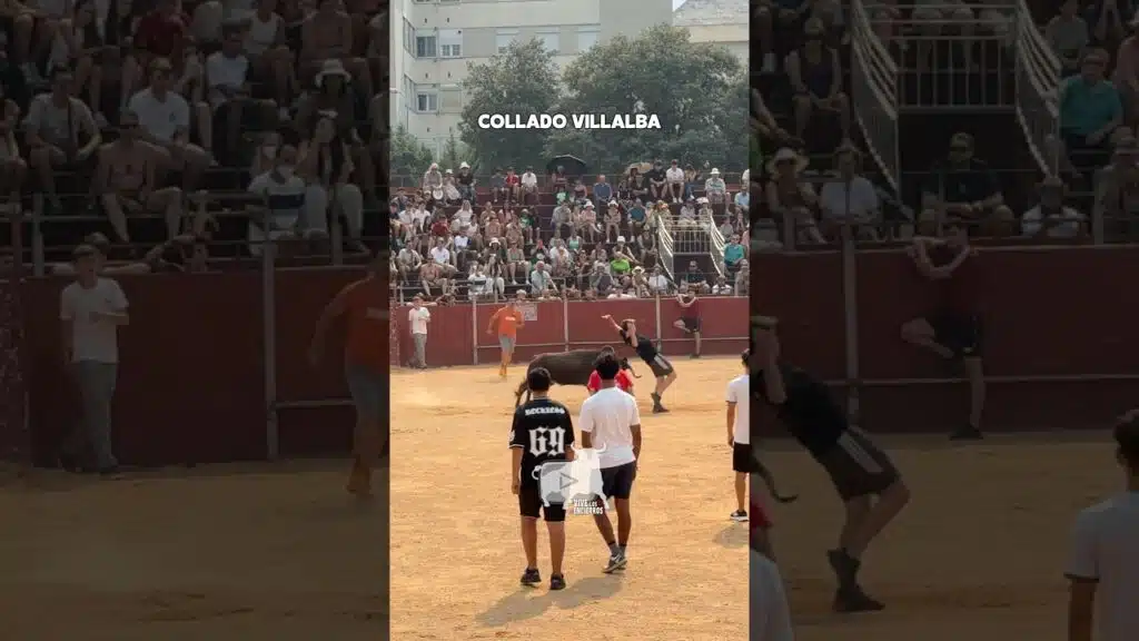 Capea en Collado Villalba 2026 - Capea Collado Villalba 2026