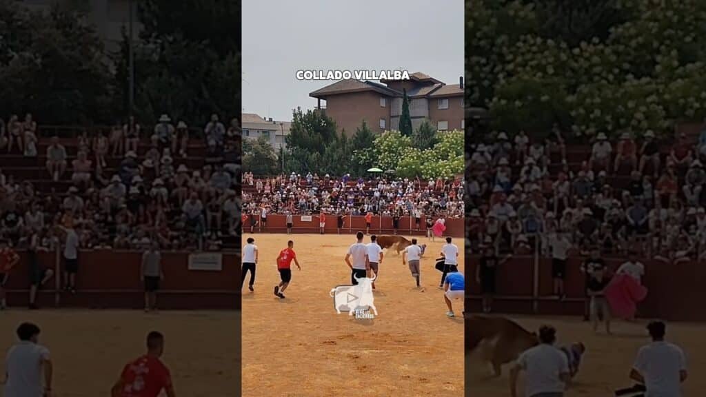 Capea en Collado Villalba 2026 - LE SALVA DE UN REVOLCÓN GRANDE