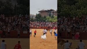 Capea en Collado Villalba 2026 - LE SALVA DE UN REVOLCÓN GRANDE