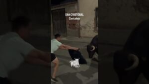 Encierro en Cantalejo 2026 - Salto desde el camión del último toro Cantalejo