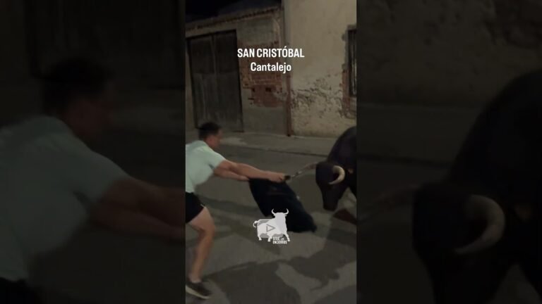 Encierro en Cantalejo 2026 - Salto desde el camión del último toro Cantalejo