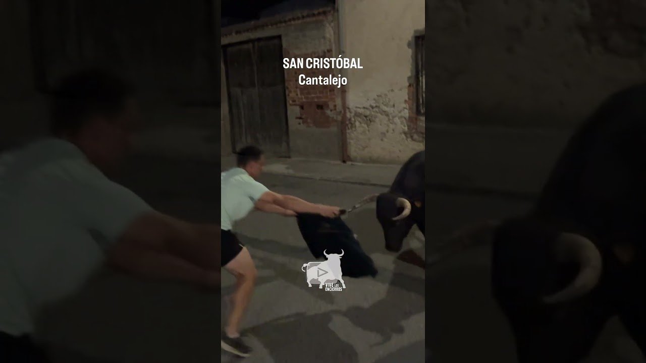 Encierro en Cantalejo 2026 - Salto desde el camión del último toro Cantalejo