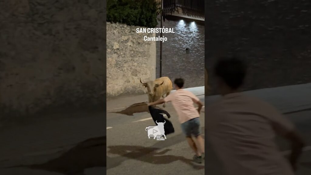 Encierro en Cantalejo 2026 - Salida de los cinco toros Cantalejo