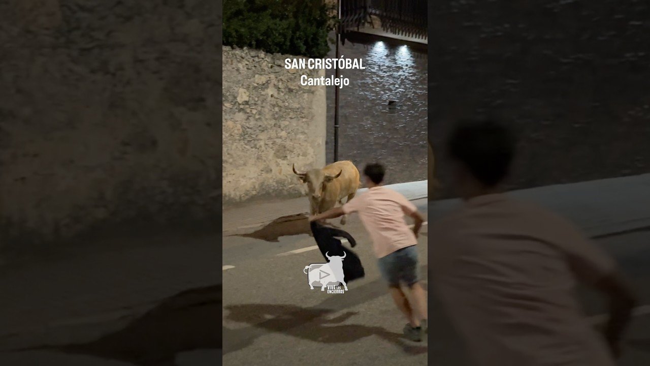 Encierro en Cantalejo 2026 - Salida de los cinco toros Cantalejo