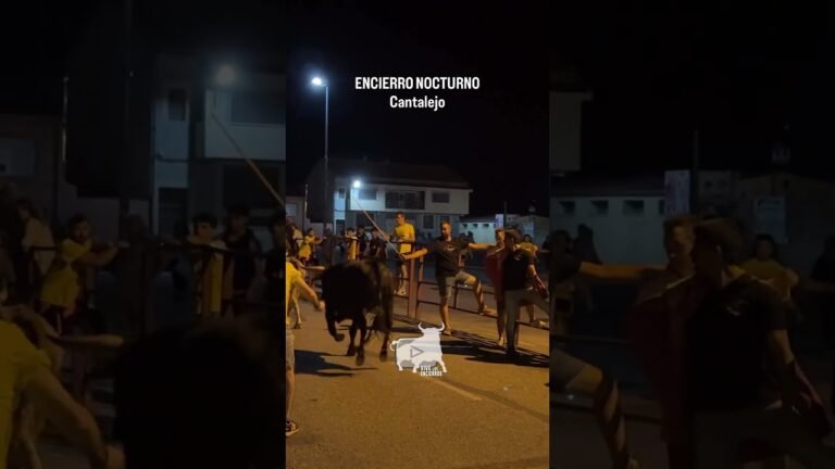 Encierro en Cantalejo 2026 - ENCIERRO NOCTURNO CANTALEJO