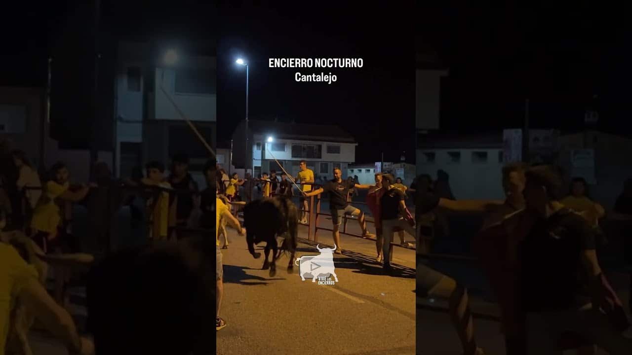 Encierro en Cantalejo 2026 - ENCIERRO NOCTURNO CANTALEJO