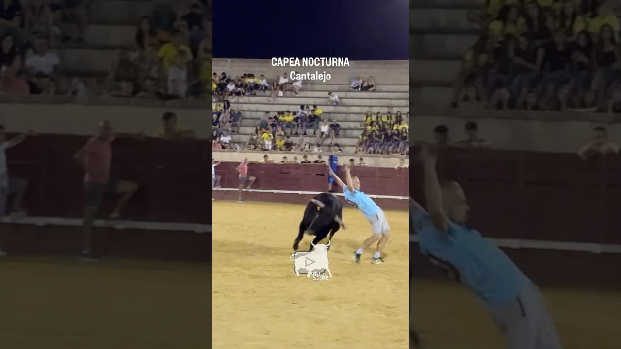 Encierro en Cantalejo 2026 - CAPEA NOCTURNA CANTALEJO