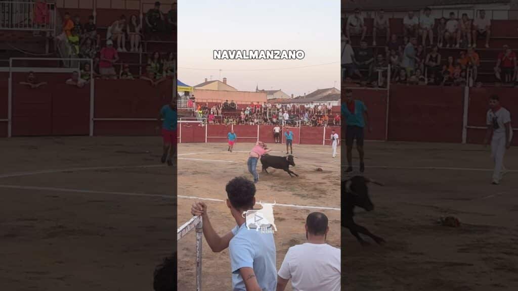 Capea en Navalmanzano 2026 - BUENOS CORTES en NAVALMANZANO