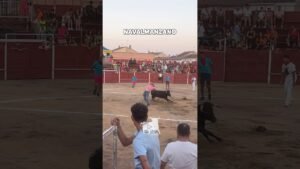 Capea en Navalmanzano 2026 - BUENOS CORTES en NAVALMANZANO