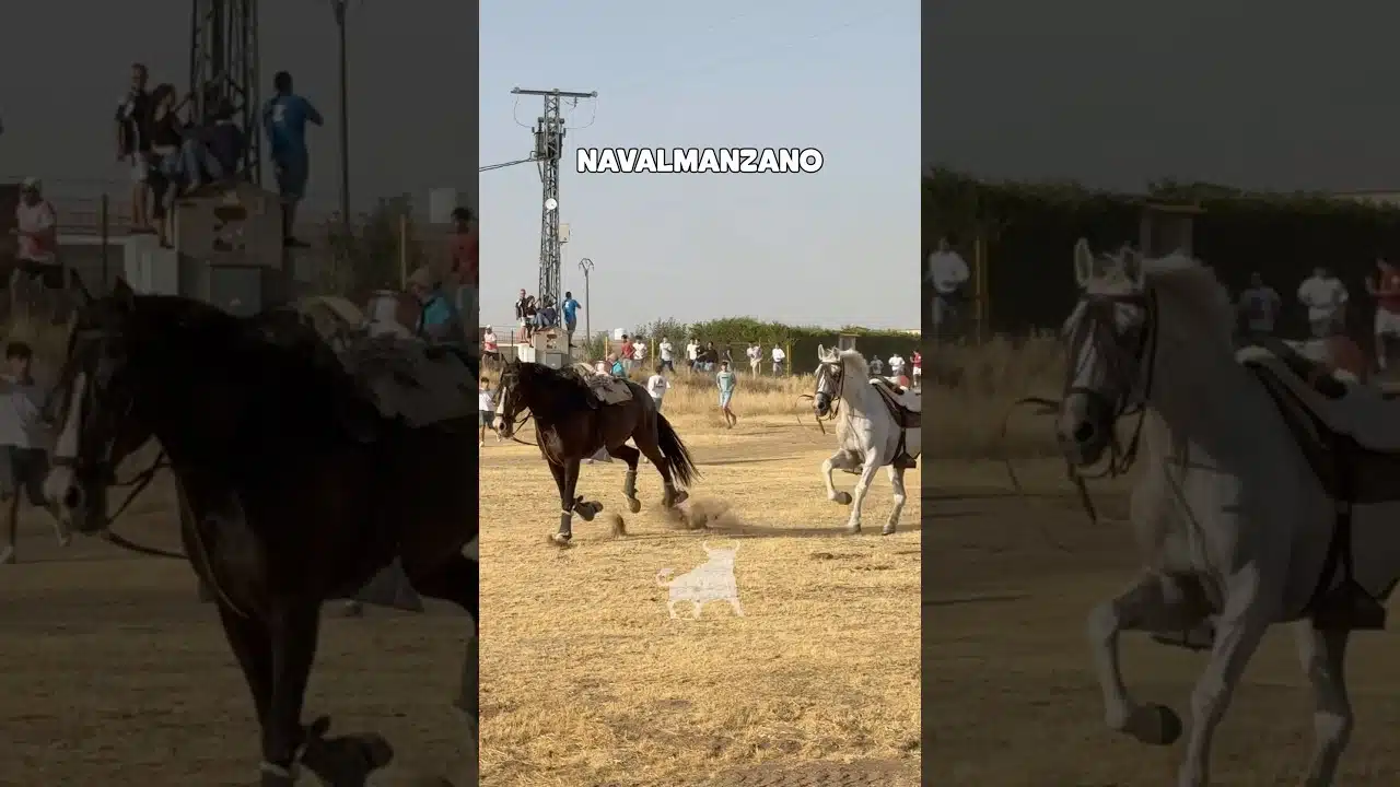 Encierro campero en Navalmanzano 2026 - DOS CABALLOS DESBOCADOS SIN JINETE