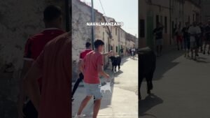Encierro campero en Navalmanzano 2026 - NERVIOS Y EMPUJONES DELANTE DEL TORO
