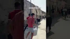 Encierro campero en Navalmanzano 2026 - NERVIOS Y EMPUJONES DELANTE DEL TORO